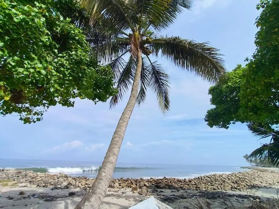 Hidden Paradise : Beach Villa Kandakkadava 0*,