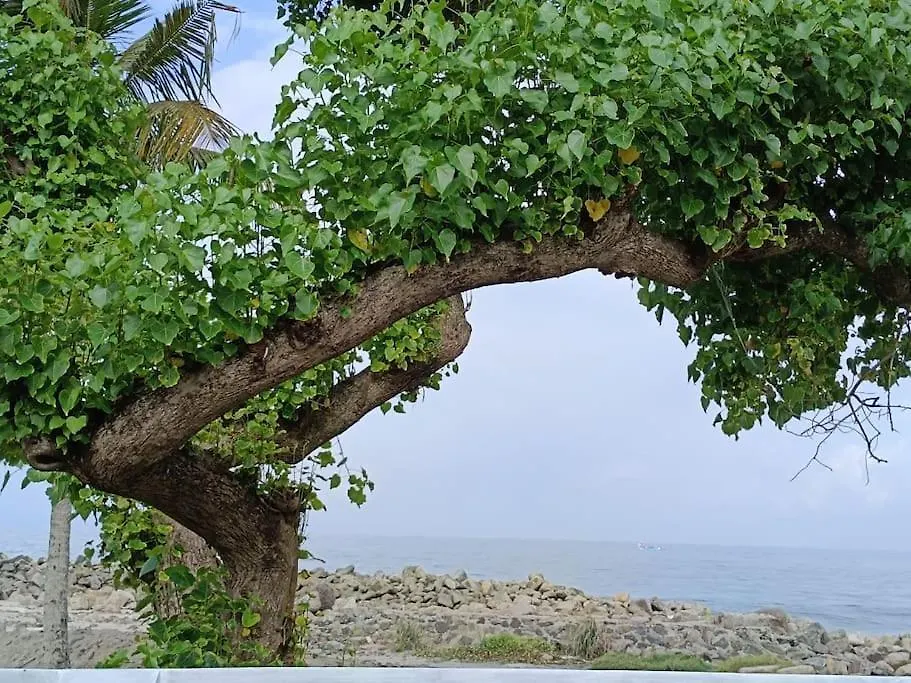 Hidden Paradise : Beach Villa Kandakkadava